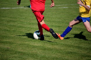 九游官方娱乐-世界马拉松大满贯赛事上海站开跑，世界马拉松大满贯赛事上海站开跑时间